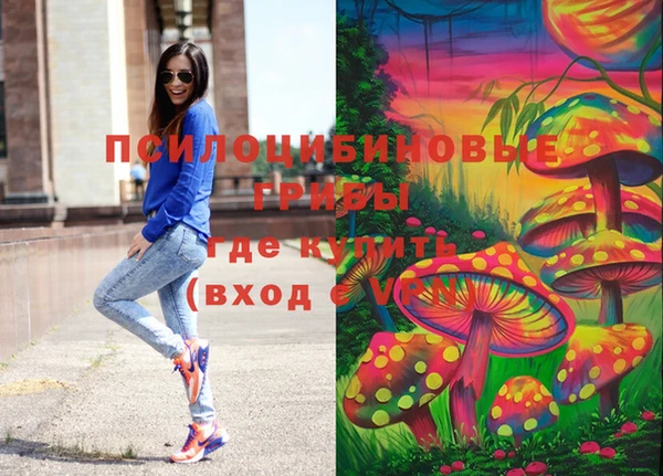 мдма Козельск