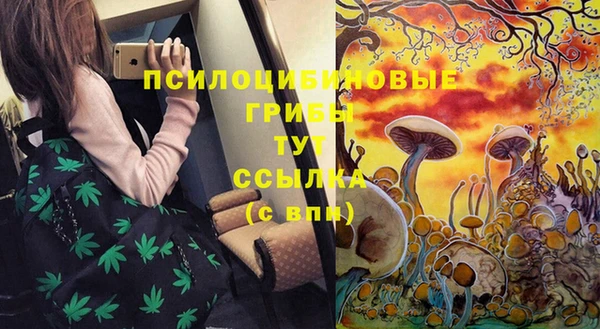 MDMA Premium VHQ Козловка